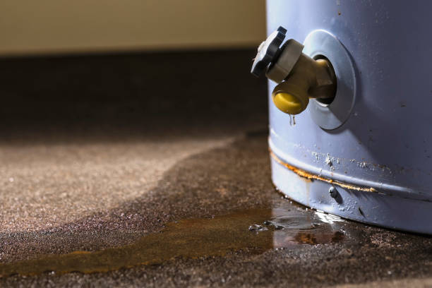 Best Mold removal after water damage  in Ada, OH