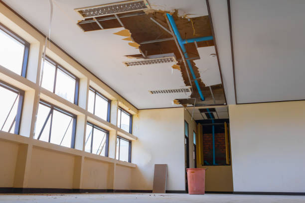 Best Basement water damage restoration  in Ada, OH