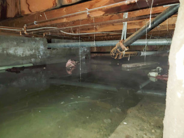 Best 24-hour water damage restoration  in Ada, OH