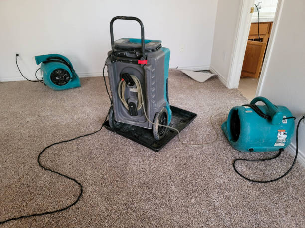 Best Water damage restoration near me  in Ada, OH