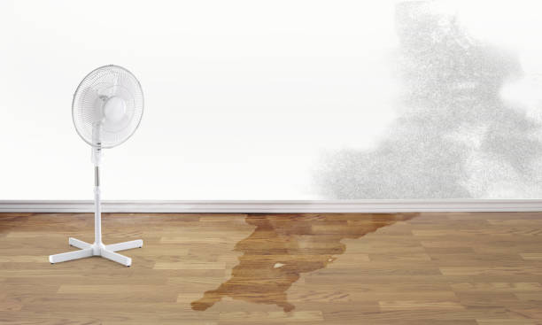 Best Water damage restoration mold remediation  in Ada, OH