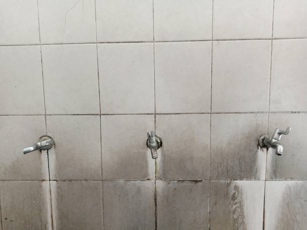 Best Water damage mitigation services  in Ada, OH