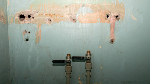 Best Water damage restoration near me  in Ada, OH