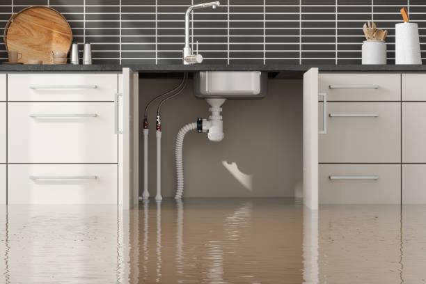 Best Water damage cleanup near me  in Ada, OH