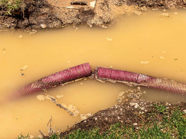 Best Water damage contractors near me  in Ada, OH