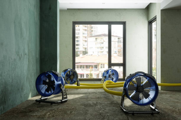 Best Water damage contractors near me  in Ada, OH